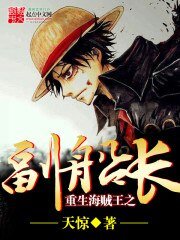 (海賊王同人)重生海賊王之副船長
