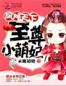 鳳傾天下:至尊小萌妃